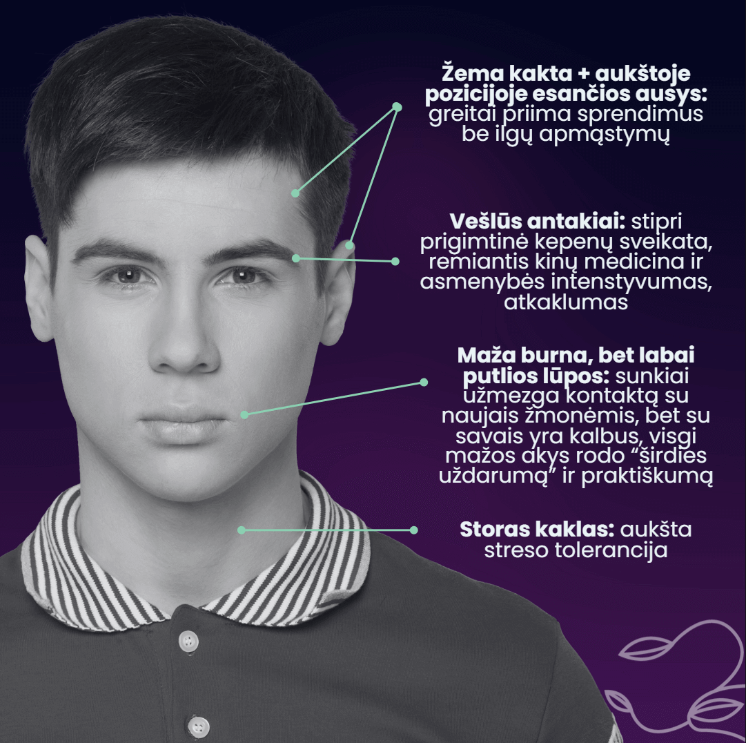 ka nagrineja veidotyra